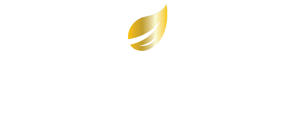 Cleaning Services